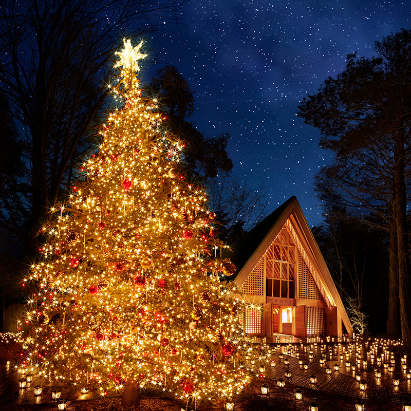 #軽井沢高原教会 #星降る森のクリスマス